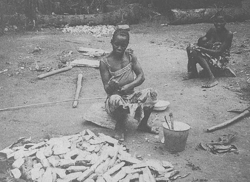 Slicing of boiled bitter cassava ki.buli by a Songola woman - ANKEI 1996